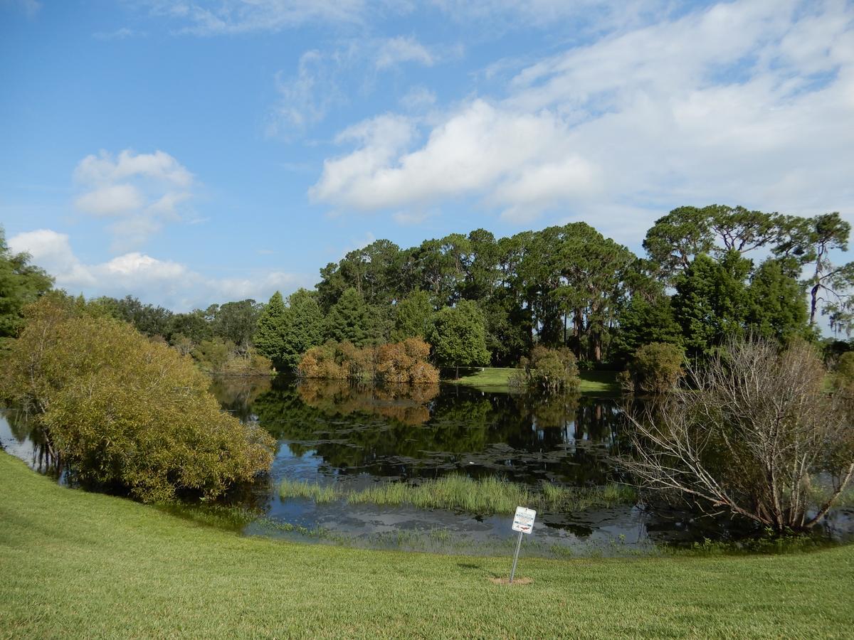 Bahama Bay Βίλα Kissimmee Εξωτερικό φωτογραφία