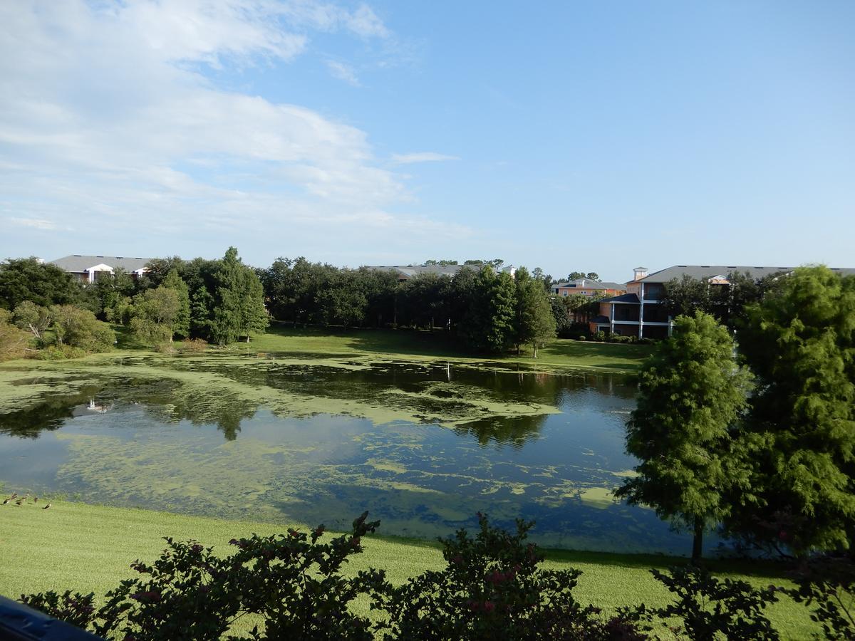 Bahama Bay Βίλα Kissimmee Εξωτερικό φωτογραφία
